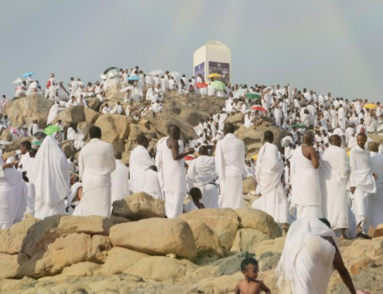 تصعيد وتسيير حجاج فلسطين إلى جبل عرفات